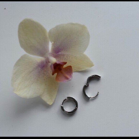 New 925 Silver Earrings - Picture 3 of 4